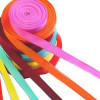 Polyester tapes